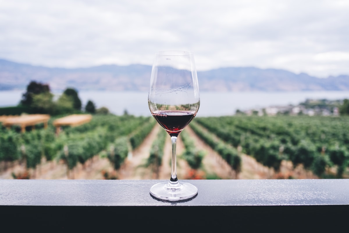 Traiteur viticulteurs Beaujolais